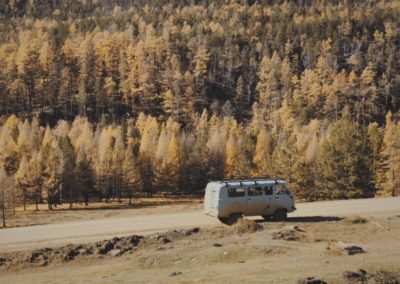 Taiga forest in autumn